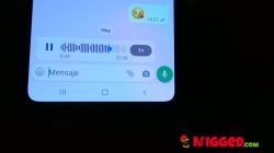 Sofía Santana es una novia despechada… Quieres ver cómo nos follamos a tu chica